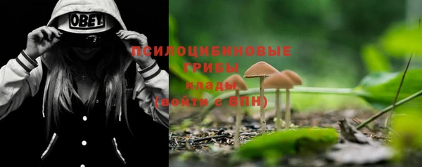 героин Богданович